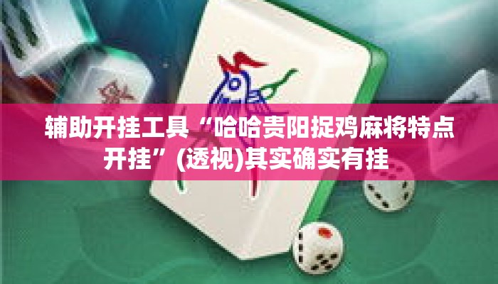 辅助开挂工具“哈哈贵阳捉鸡麻将特点开挂”(透视)其实确实有挂 