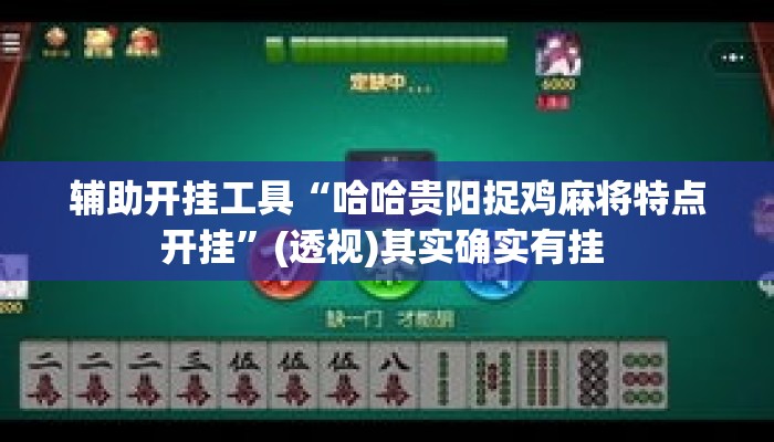 辅助开挂工具“哈哈贵阳捉鸡麻将特点开挂”(透视)其实确实有挂 