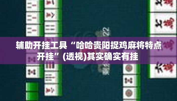 辅助开挂工具“哈哈贵阳捉鸡麻将特点开挂	”(透视)其实确实有挂 