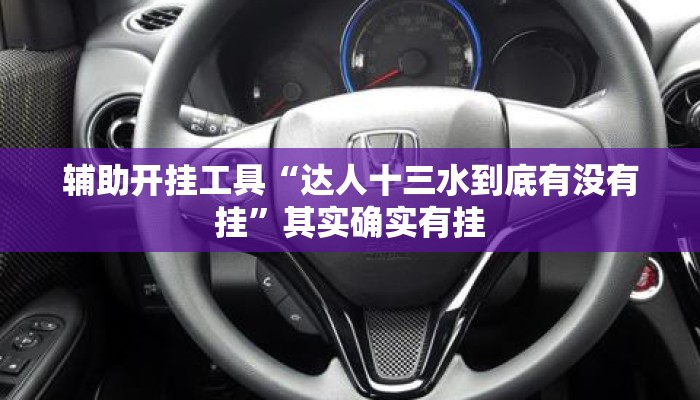 辅助开挂工具“达人十三水到底有没有挂”其实确实有挂