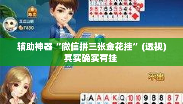 辅助神器“微信拼三张金花挂”(透视)其实确实有挂 