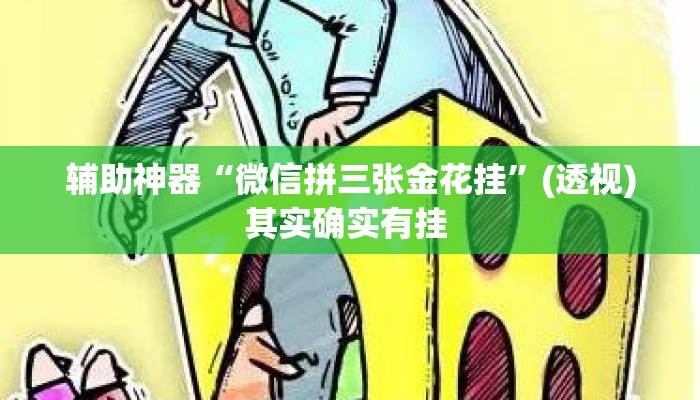 辅助神器“微信拼三张金花挂”(透视)其实确实有挂 