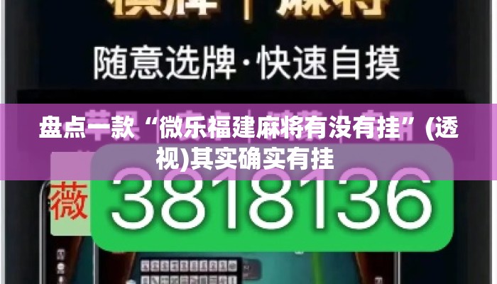 盘点一款“微乐福建麻将有没有挂”(透视)其实确实有挂 