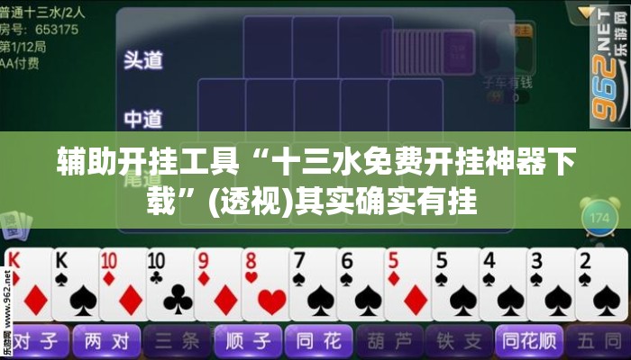 辅助开挂工具“十三水免费开挂神器下载	”(透视)其实确实有挂 