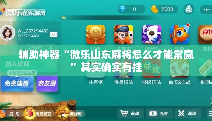 辅助神器“微乐山东麻将怎么才能常赢”其实确实有挂