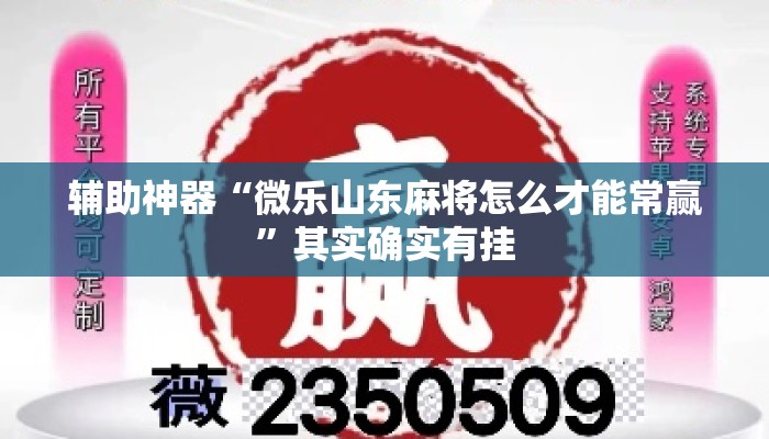 辅助神器“微乐山东麻将怎么才能常赢	”其实确实有挂