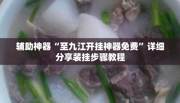 辅助神器“至九江开挂神器免费”详细分享装挂步骤教程