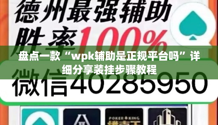 盘点一款“wpk辅助是正规平台吗”详细分享装挂步骤教程