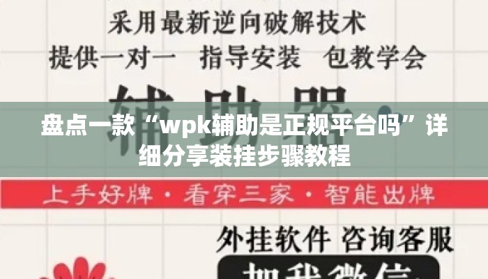 盘点一款“wpk辅助是正规平台吗”详细分享装挂步骤教程
