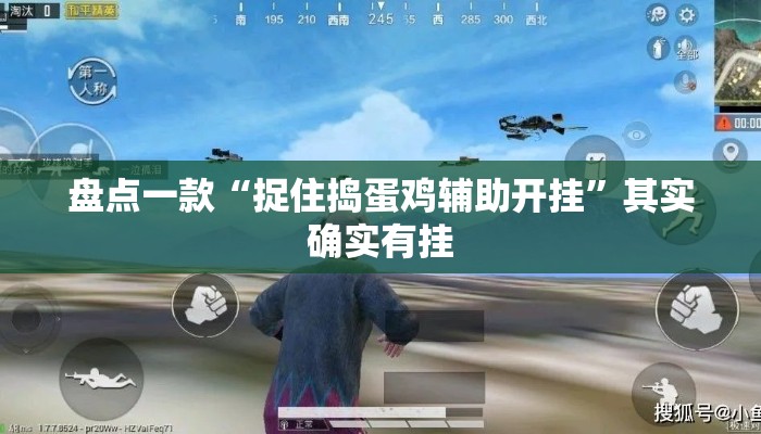 盘点一款“捉住捣蛋鸡辅助开挂”其实确实有挂
