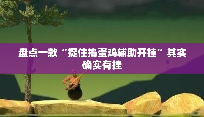 盘点一款“捉住捣蛋鸡辅助开挂”其实确实有挂