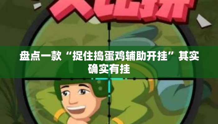 盘点一款“捉住捣蛋鸡辅助开挂”其实确实有挂
