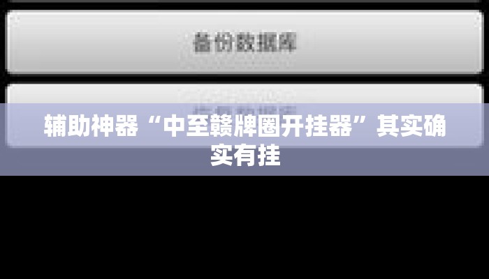 辅助神器“中至赣牌圈开挂器”其实确实有挂