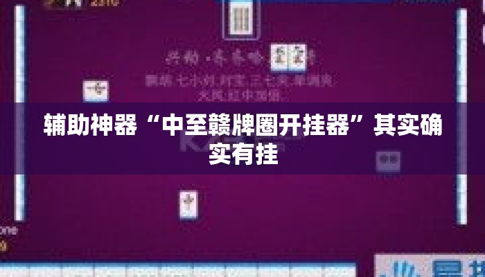 辅助神器“中至赣牌圈开挂器”其实确实有挂