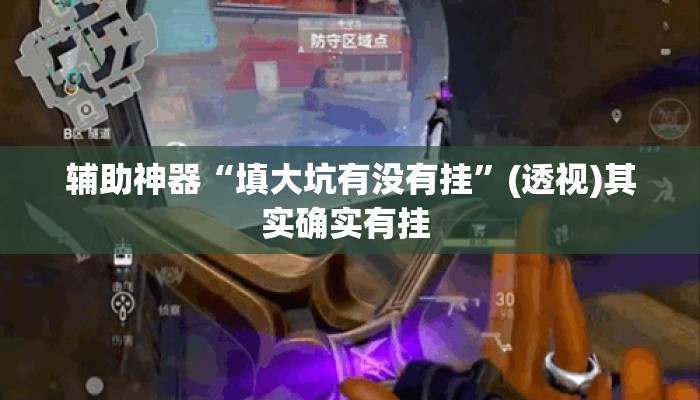 辅助神器“填大坑有没有挂	”(透视)其实确实有挂 