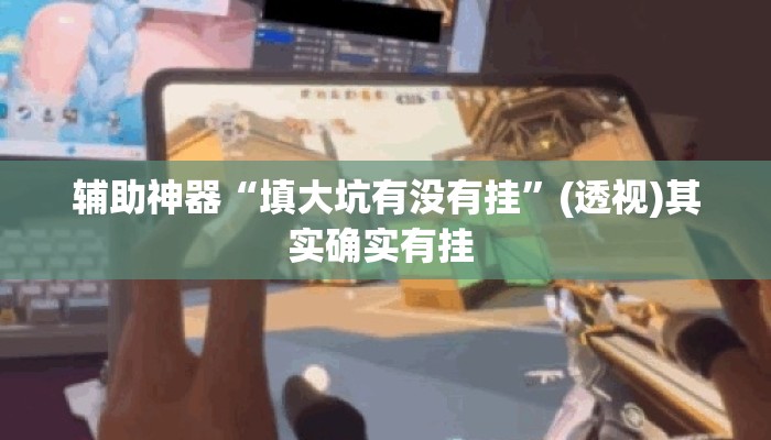 辅助神器“填大坑有没有挂”(透视)其实确实有挂 