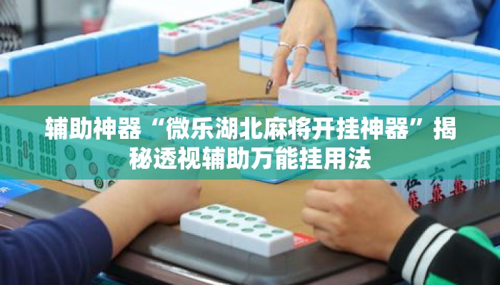 辅助神器“微乐湖北麻将开挂神器	”揭秘透视辅助万能挂用法