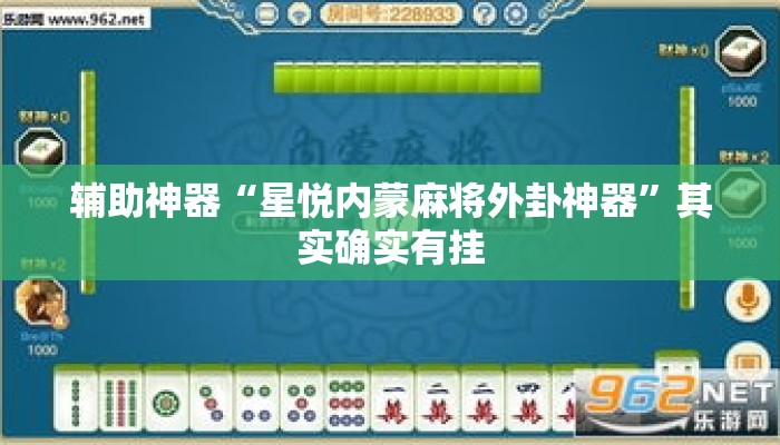 辅助神器“星悦内蒙麻将外卦神器	”其实确实有挂