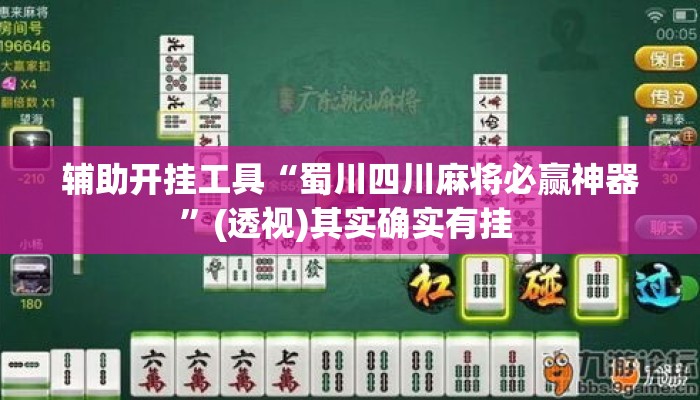 辅助开挂工具“蜀川四川麻将必赢神器”(透视)其实确实有挂 