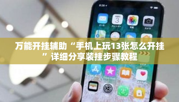 万能开挂辅助“手机上玩13张怎么开挂	”详细分享装挂步骤教程