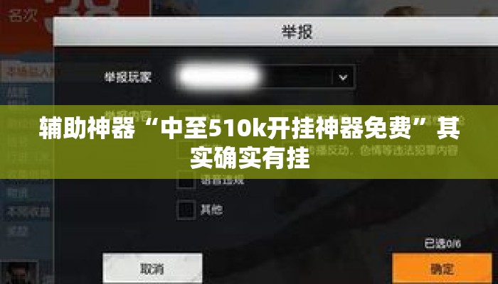 辅助神器“中至510k开挂神器免费	”其实确实有挂
