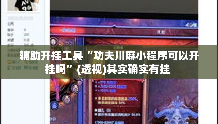 辅助开挂工具“功夫川麻小程序可以开挂吗”(透视)其实确实有挂 