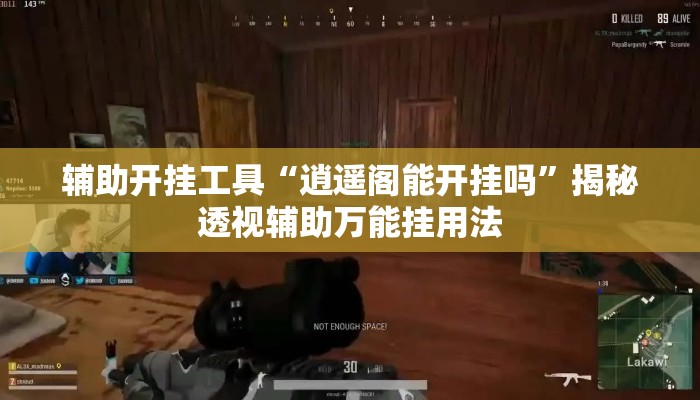 辅助开挂工具“逍遥阁能开挂吗”揭秘透视辅助万能挂用法