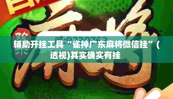 辅助开挂工具“雀神广东麻将微信挂	”(透视)其实确实有挂 