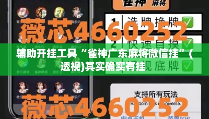 辅助开挂工具“雀神广东麻将微信挂”(透视)其实确实有挂 