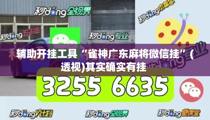 辅助开挂工具“雀神广东麻将微信挂”(透视)其实确实有挂 