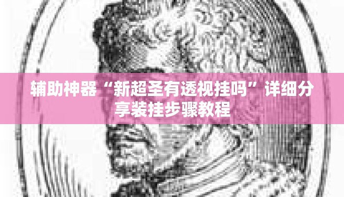 辅助神器“新超圣有透视挂吗”详细分享装挂步骤教程