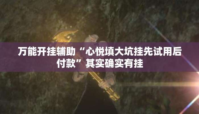 万能开挂辅助“心悦填大坑挂先试用后付款”其实确实有挂