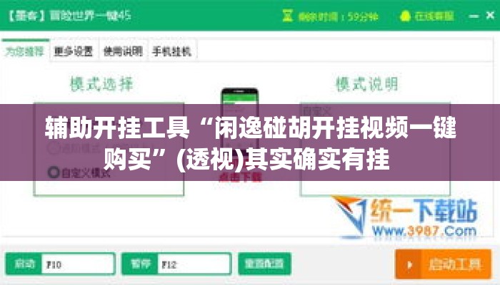 辅助开挂工具“闲逸碰胡开挂视频一键购买”(透视)其实确实有挂 