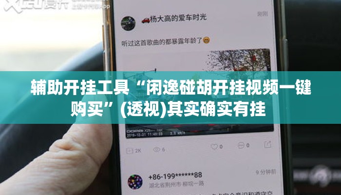 辅助开挂工具“闲逸碰胡开挂视频一键购买	”(透视)其实确实有挂 
