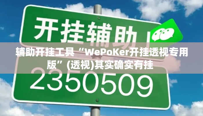 辅助开挂工具“WePoKer开挂透视专用版”(透视)其实确实有挂 