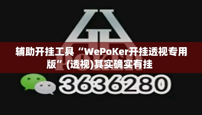 辅助开挂工具“WePoKer开挂透视专用版”(透视)其实确实有挂 