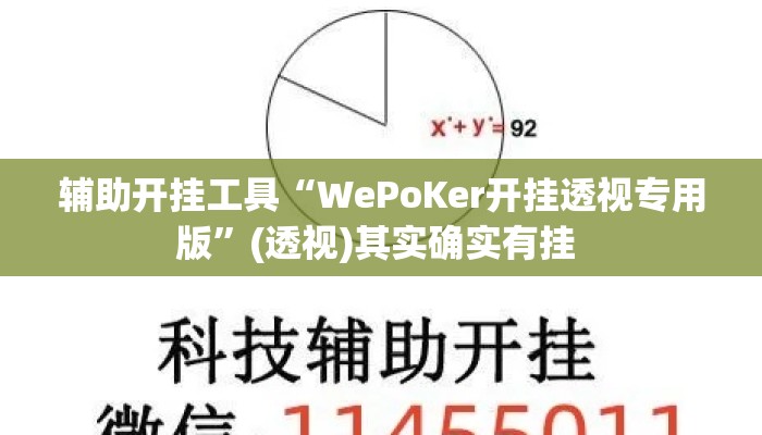 辅助开挂工具“WePoKer开挂透视专用版”(透视)其实确实有挂 