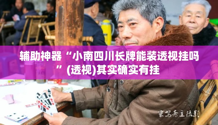 辅助神器“小南四川长牌能装透视挂吗	”(透视)其实确实有挂 