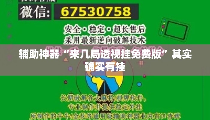 辅助神器“来几局透视挂免费版”其实确实有挂