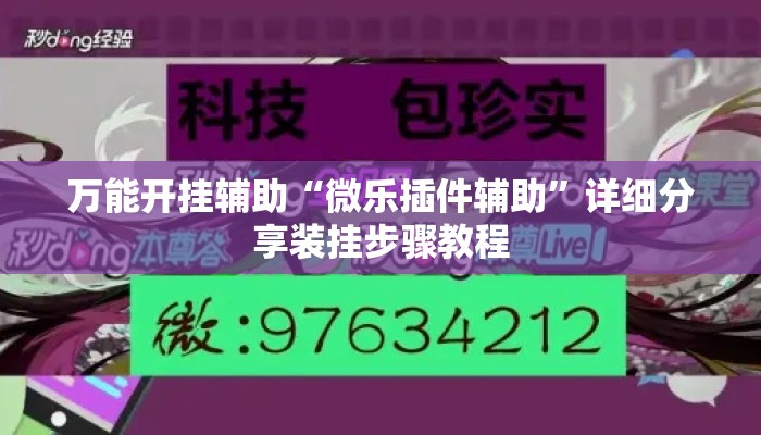 万能开挂辅助“微乐插件辅助”详细分享装挂步骤教程