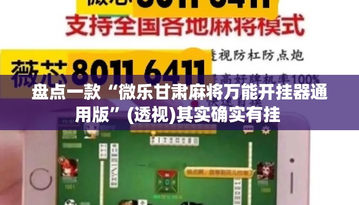 盘点一款“微乐甘肃麻将万能开挂器通用版”(透视)其实确实有挂 