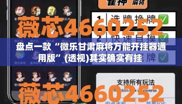 盘点一款“微乐甘肃麻将万能开挂器通用版”(透视)其实确实有挂 