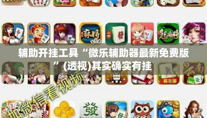 辅助开挂工具“微乐辅助器最新免费版	”(透视)其实确实有挂 