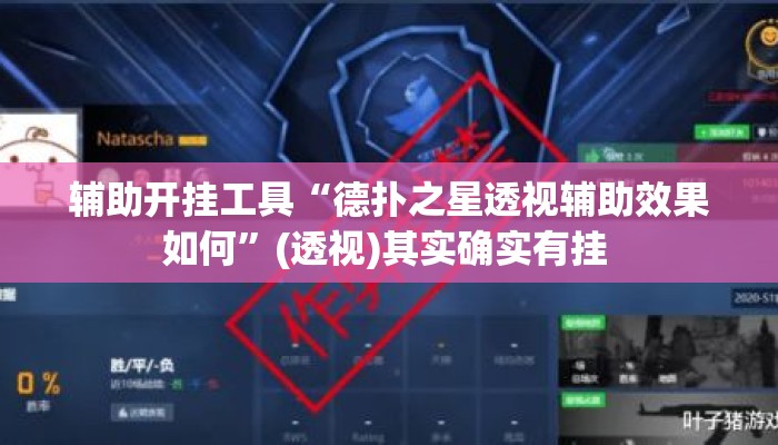 辅助开挂工具“德扑之星透视辅助效果如何”(透视)其实确实有挂 