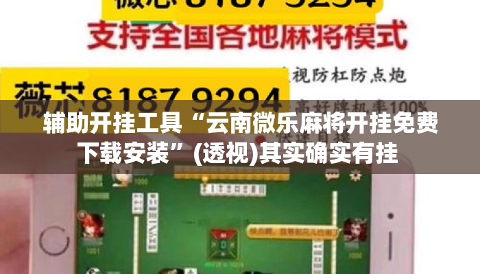 辅助开挂工具“云南微乐麻将开挂免费下载安装	”(透视)其实确实有挂 