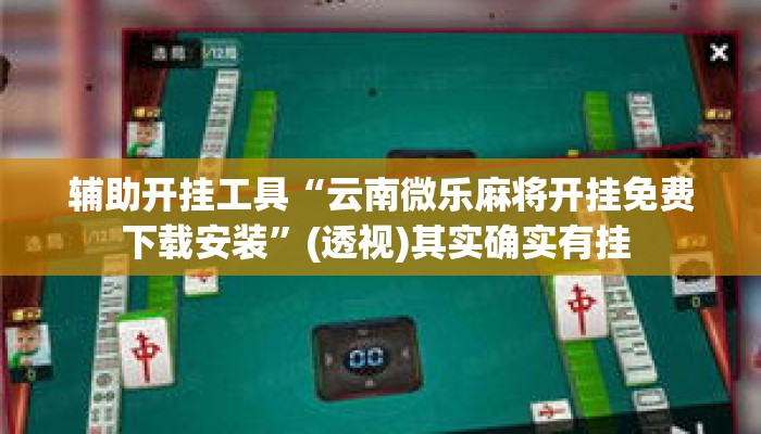 辅助开挂工具“云南微乐麻将开挂免费下载安装	”(透视)其实确实有挂 