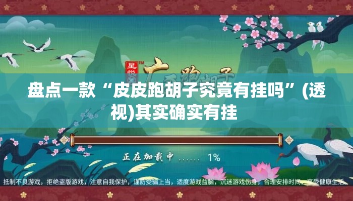 盘点一款“皮皮跑胡子究竟有挂吗”(透视)其实确实有挂 