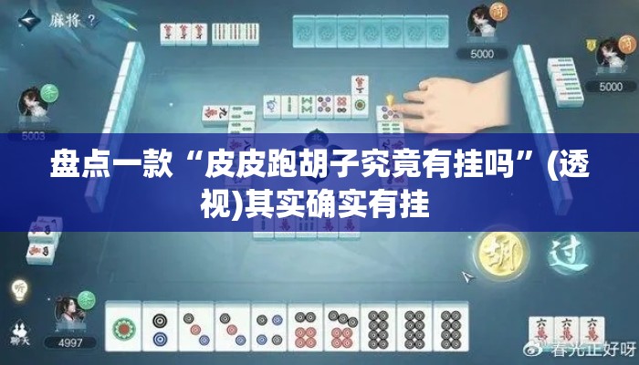 盘点一款“皮皮跑胡子究竟有挂吗	”(透视)其实确实有挂 