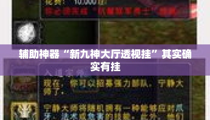 辅助神器“新九神大厅透视挂”其实确实有挂
