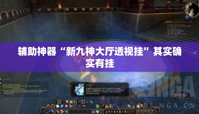 辅助神器“新九神大厅透视挂”其实确实有挂